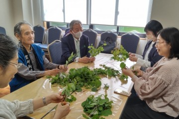 葵桂つくりの作業風景